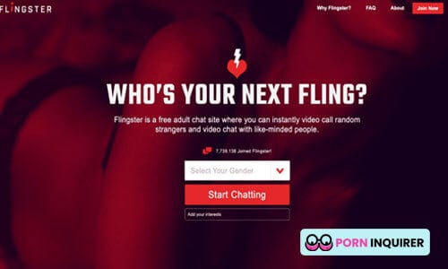 homepage of flingster random chat site
