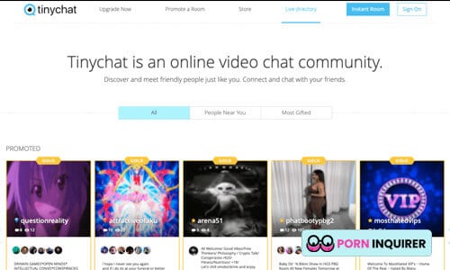 homepage of tiny chat random video site